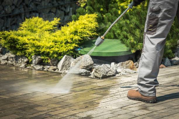 Best Gutter Cleaning  in Belvidere, NJ