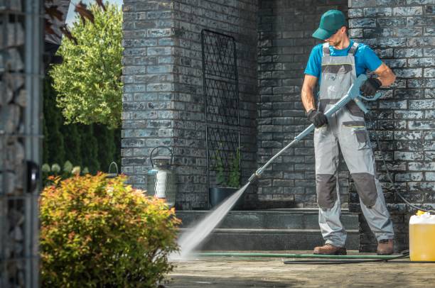 Best Driveway Pressure Washing  in Belvidere, NJ